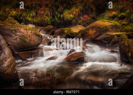 Melincourt Brook riverbed Stock Photo