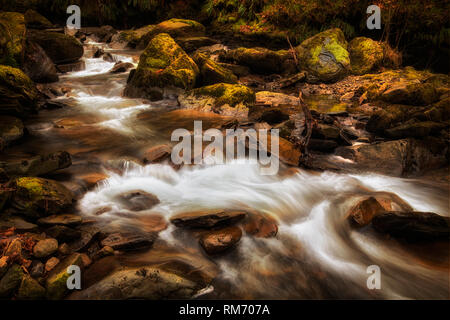Melincourt Brook riverbed Stock Photo