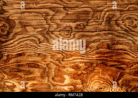 Closeup of an old rich wood grain texture background with cracks and knots. Stock Photo