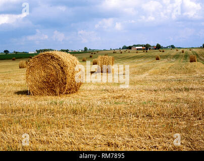 STRAW BALES on field Stock Photo