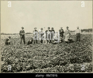 . Annual report of the Office of Experiment Stations .... Agricultural experiment stations -- United States; Agriculture -- United States. 1 Fig. 1.—Agricultural Education—Dunn County 'Wis.' School of Agriculture, Students Pruning Fruit Trees.. Fig. 2.—Agricultural Education—Dunn County iWis. i School of Agriculture. Students Taking Notes on Field Crops.. Please note that these images are extracted from scanned page images that may have been digitally enhanced for readability - coloration and appearance of these illustrations may not perfectly resemble the original work.. United States. Office Stock Photo