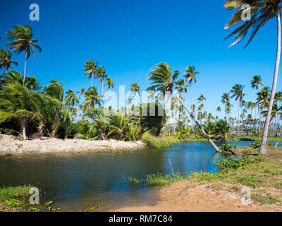 Beautiful and lonely lagoon in a paradise on Puerto Rico, Usa Stock Photo