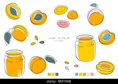 Grandmas apricot home made jam, set of elements Stock Vector