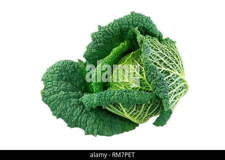 Closeup of an isolated fresh savoy cabbage head Stock Photo