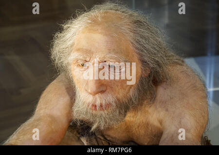 Reconstruction of adult Neanderthal male at the Natural History Museum in Vienna, Austria Stock Photo