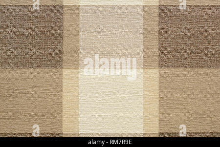 seamless Zebra fur texture background.High-resolution seamless texture Stock Photo