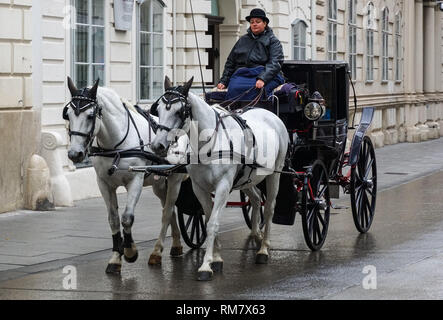 Horse drawn carriage in Vienna, Austria Stock Photo