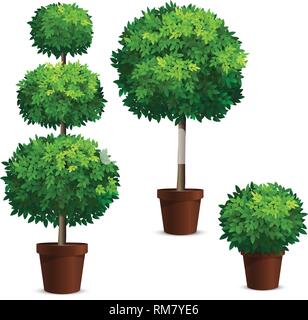 Set of topiary trees in a pots. Plants for garden design. Stock Vector