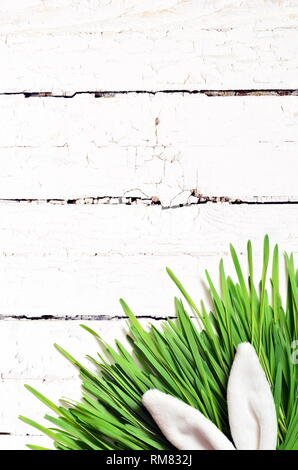 Easter funny bunny ears on green grass on wooden background. Easter background. Stock Photo