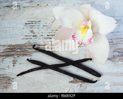 Dried vanilla fruits and orchid vanilla flower Stock Photo