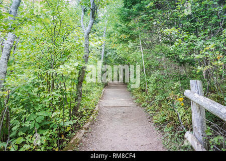 A path through a trail along Green Gables stunning countryside setting is located in Prince Edward Island National Park in Cavendish, Canada, Stock Photo