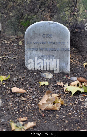 Grave stone of the famous German dog Giro Stock Photo