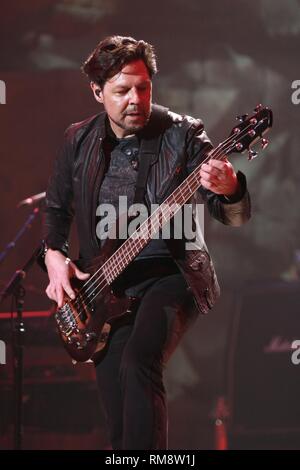 Bassist Kasim Sultan is shown performing on stage during a "live" concert appearance with Blue Oyster Cult. Stock Photo