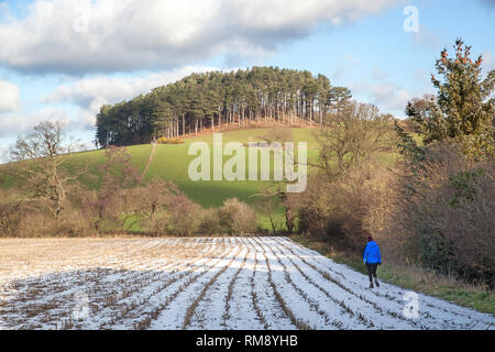 Woman walking in the Cheshire countryside in the snow during winter in the Bickerton Hills in the south of the county Stock Photo