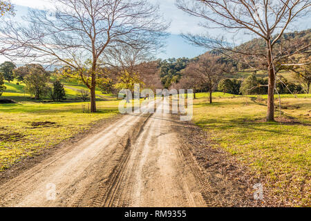 Dirt road in the Upper Hunter Valley, NSW, Australia, in the evening light. Stock Photo