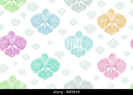 Orchid doodle seamless background on vector art. Stock Vector