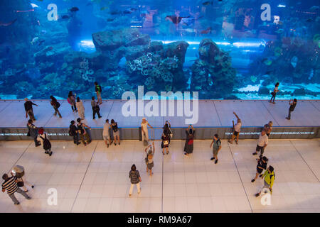 Dubai, United Arab Emirates - September 9, 2018: The Dubai Aquarium in Dubai, United Arab Emirates, showcases more than 300 species of marine animals, Stock Photo