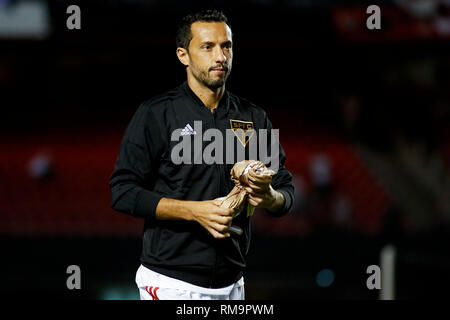 São Paulo, Brazil. 13th Feb 2019. Nenê during the match between São Paulo FC and Talleres (Argentina), valid for the second phase of the Copa Libertadores 2019, held at the Estádio do Morumbi, in São Paulo. (Photo: Marco Galvão/Fotoarena) Credit: Foto Arena LTDA/Alamy Live News Stock Photo