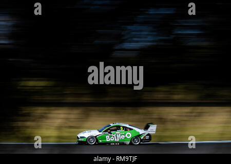 Phillip Island, Victoria, Australia. 14th Feb, 2019. Australian Super Cars Test Day; Lee Holdsworth drives the Tickford Racing Ford Mustang during the 2019 Supercars test day Credit: Action Plus Sports/Alamy Live News Stock Photo