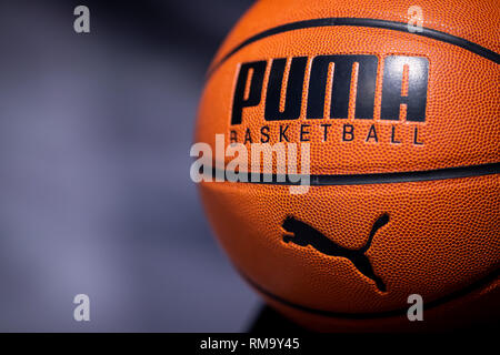 Herzogenaurach, Germany. 14th Feb, 2019. A basketball with the logo of the sporting goods manufacturer Puma SE is exhibited in the company. On 14 February, the sporting goods manufacturer will present its balance sheet for the year 2018. Credit: Daniel Karmann/dpa/Alamy Live News Stock Photo