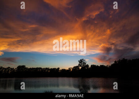 The sun setting behind trees and reflecting color on wispy clouds in a blue sky and on a shadowy pond. Stock Photo