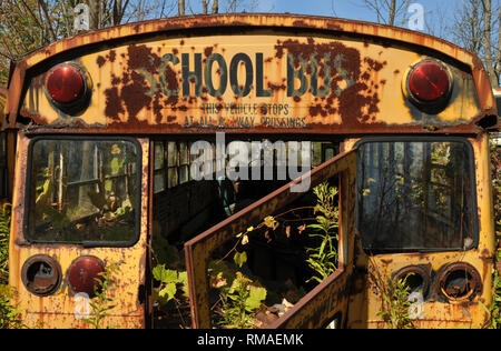 An old yellow school bus rusts away under the trees in a rural scrap yard. Stock Photo