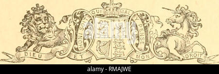 . Annual report. Entomological Society of Ontario; Insect pests; Insects -- Ontario Periodicals. TWENTY-FIFTH ANNUAL REPORT ENTOMOLOGICAL SOCIETY ONTARIO 1894. [PUBLISHED BY ONTARIO DEPARTMENT OF AGRICULTURE, TORONTO.) PRINTED BY ORDER OF THE LEGISLATIVE ASSEMBLY.. TORONTO: WARWICK BRC'S. &amp; RUTTER, PRINTERS, Etc., 68 and 70 FROIsT STREFT WEST, 1894.. Please note that these images are extracted from scanned page images that may have been digitally enhanced for readability - coloration and appearance of these illustrations may not perfectly resemble the original work.. Entomological Society  Stock Photo