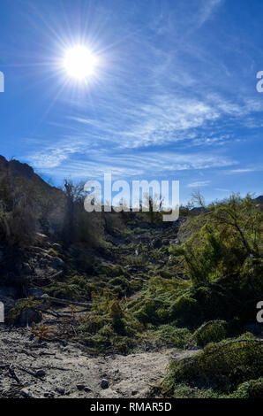 Sunshine and blue skies over a dry gully in La Quinta, California, USA Stock Photo