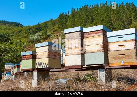 Beehives. Traditional colored wooden box. Muniellos, Asturias, Spain. Horizontal Stock Photo