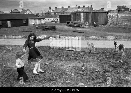 1970s Irish teenage girl with sister playing outside Limerick, in County Limerick, Eire. Goats animal livestock left to roam, they are un-penned.  West Coast of Southern Ireland 70s HOMER SYKES Stock Photo