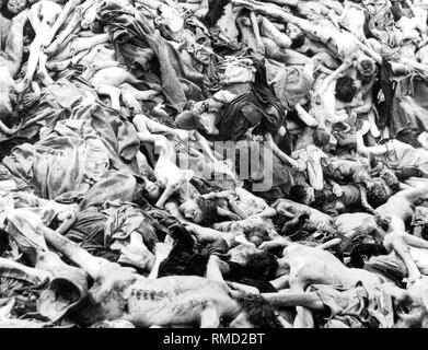 Concentration camp liberation: in spring 1945 the English encountered such scenes of horror in Bergen-Belsen. Stock Photo