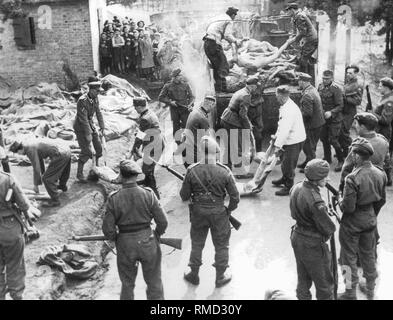 Dead bodies at Bergen-Belsen Concentration Camp Stock Photo - Alamy