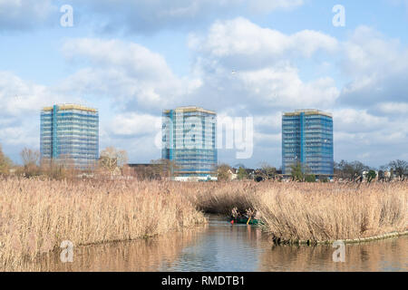 High rise buildings by the Woodberry Down Nature reserve, Manor House, Stoke Newington, Hackney, North London, London, UK Stock Photo