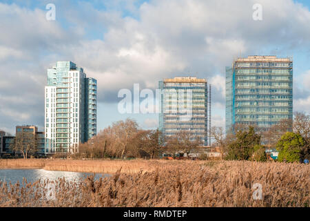 High rise buildings by the Woodberry Down Nature reserve, Manor House, Stoke Newington, Hackney, North London, London, UK Stock Photo