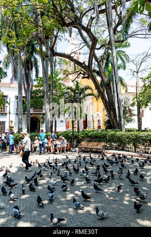 Plaza De Bolivar Gardens Cartagena Colombia South America Stock Photo