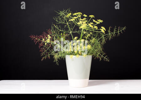 Fennel Aromatic herb for decoration or cooking. Gardening art Stock Photo