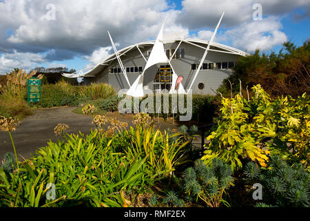 Dinosaur Museum, Sandown, Isle of Wight, England, UK, Stock Photo