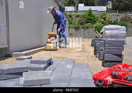 Builder using a vibrating roller before setting out paving stones for a pathway at a construction site in Westland Stock Photo