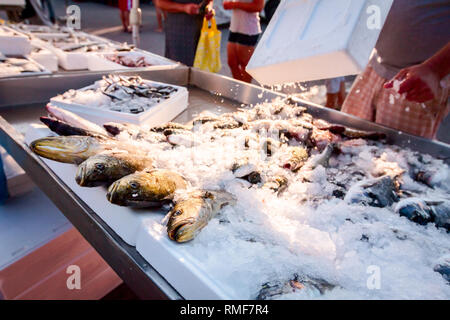 Seller's hand until is arranging fish on stand for sale at flea outdoor market, seafood on ice. Stock Photo
