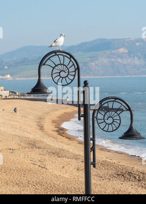 Lyme Regis, Dorset, UK. 15th February 2019. UK Weather: Picturesque Lyme Regis Basks in hot sunshine at the start of the half term getaway. A seagull looks out towards the Jurassic from one of the town's iconic ammonite street lamps. Credit: PQ/Alamy Live News Stock Photo