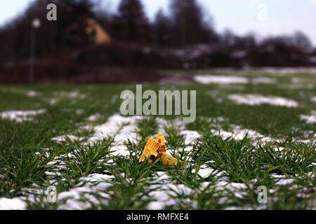 Plastic pollution on an acre with wheat crops Stock Photo