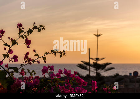 Orange sunset in Amadores beach, Gran Canaria, Spain Stock Photo