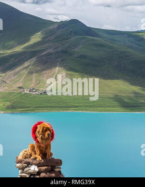 Cute big dog in red wreath sitting on stack of stones near calm lake and green hill on cloudy day in Tibet Stock Photo