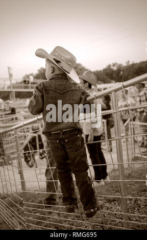 Young cowboy watching rodeo in Texas USA Stock Photo