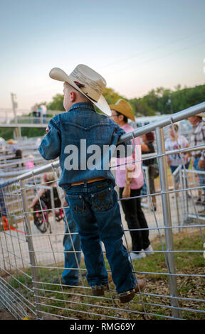 Young cowboy watching rodeo in Texas USA Stock Photo