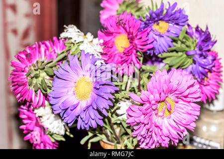 Background with lots of colorful flowers. Red, pink, purple, brown, yellow, Orange, red. Spring backdrop, pattern or texture. Beautiful flowers backgr Stock Photo
