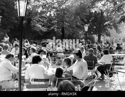 Guests are drinking beer in the beer garden Aumeister in the Englischer Garten in Munich.