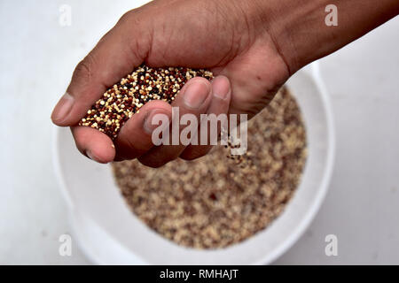 Cupped hand with three colors Quinoa Stock Photo