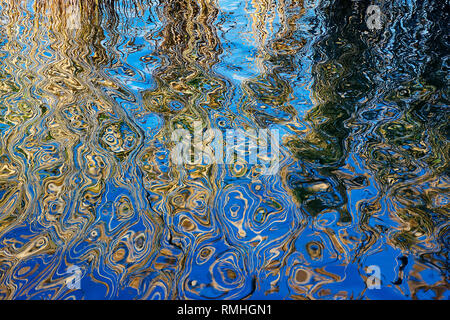 reflections on the surface of the water Stock Photo