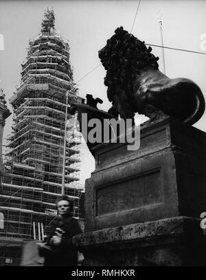 Theatine Church in Munich with scaffolding viewed from the Residenz. In front a lion. Stock Photo